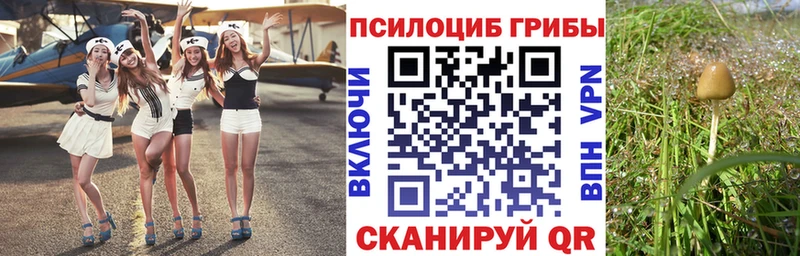 Псилоцибиновые грибы GOLDEN TEACHER  магазин  наркотиков  кракен tor  Краснознаменск 