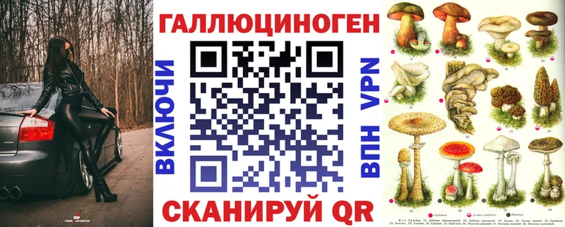 Псилоцибиновые грибы Psilocybine cubensis Краснознаменск