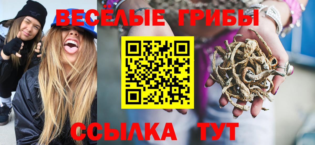 Псилоцибиновые грибы ЛСД Краснознаменск